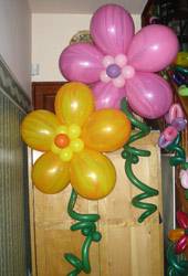 balloon flowers