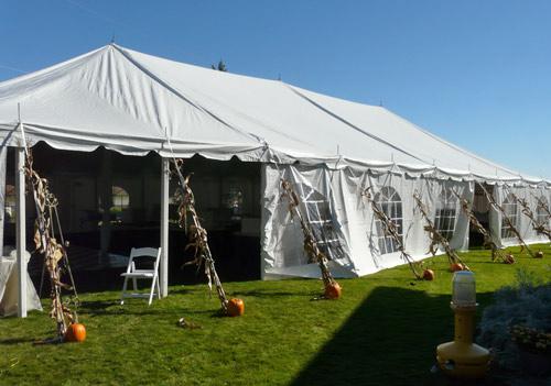 white tent with cathedral windows