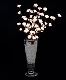 light branch with flowers