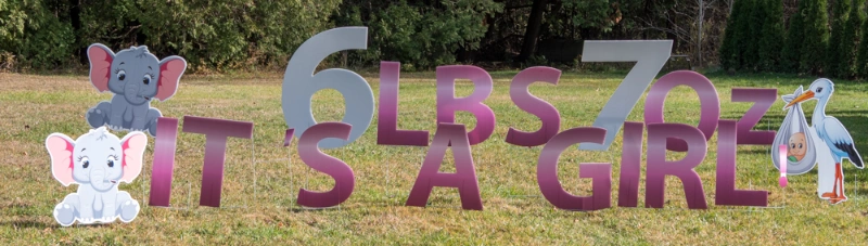 birth announcement sign on lawn with letters and graphics