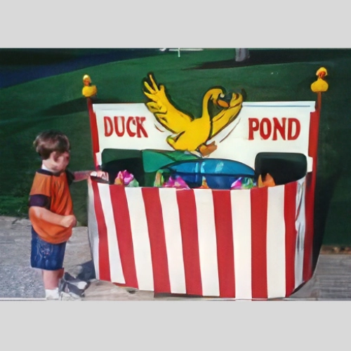 games duck pond with ducks