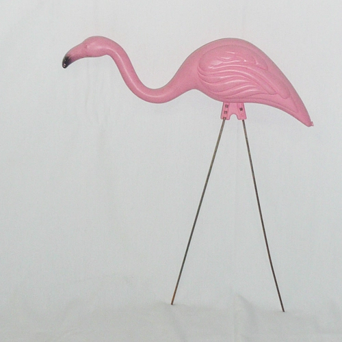 pink flamingo