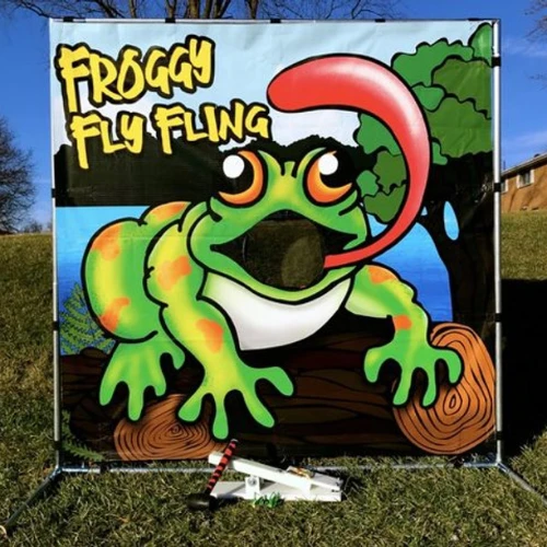 games froggy fly fling game